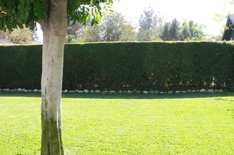 Enlarge photo 27