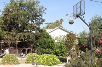 Enlarge photo 21