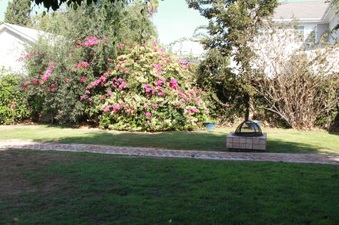 Enlarge photo 23