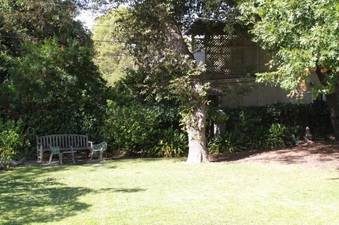 Enlarge photo 33