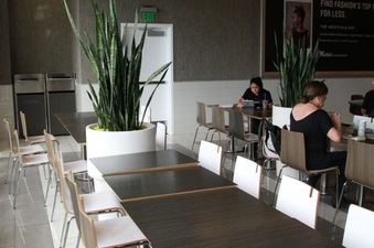 Enlarge photo 4