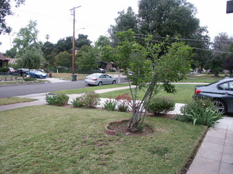 Enlarge photo 7