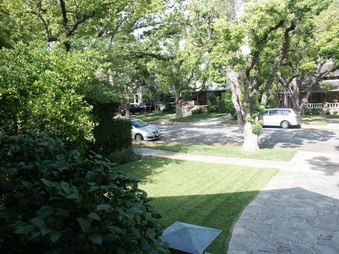 Enlarge photo 14