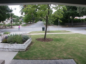 Enlarge photo 18
