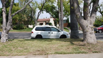 Enlarge photo 23