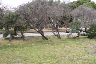 Enlarge photo 8