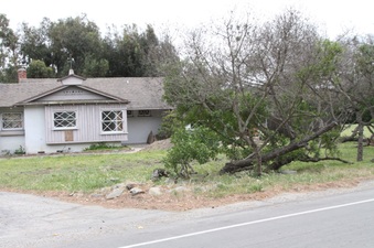 Enlarge photo 20
