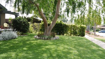 Enlarge photo 4