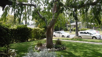 Enlarge photo 7