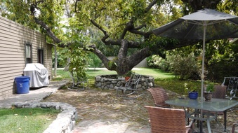Enlarge photo 49