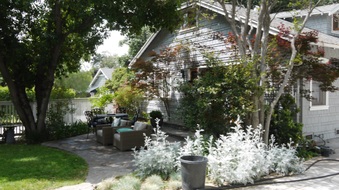 Enlarge photo 51