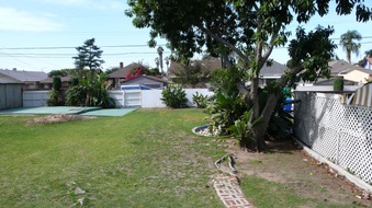 Enlarge photo 25