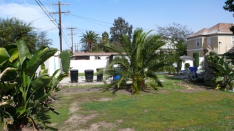 Enlarge photo 31