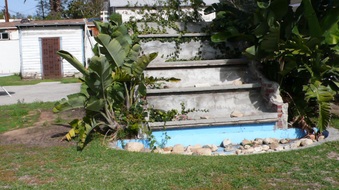 Enlarge photo 35