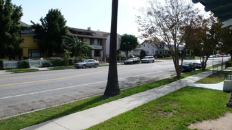 Enlarge photo 41