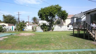 Enlarge photo 37