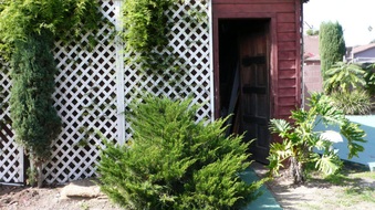 Enlarge photo 41