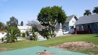 Enlarge photo 43