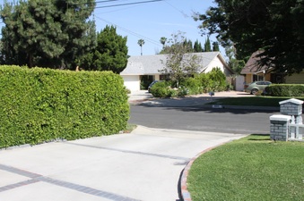 Enlarge photo 10