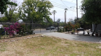 Enlarge photo 61