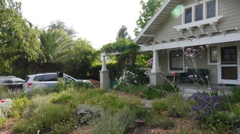 Enlarge photo 3