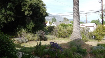 Enlarge photo 5