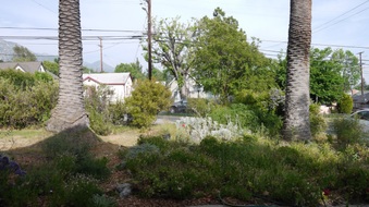 Enlarge photo 6