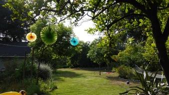 Enlarge photo 32