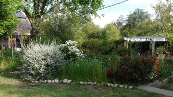 Enlarge photo 34