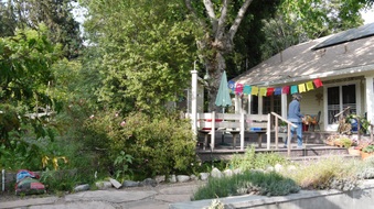 Enlarge photo 38