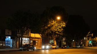 Enlarge photo 42