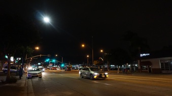 Enlarge photo 61