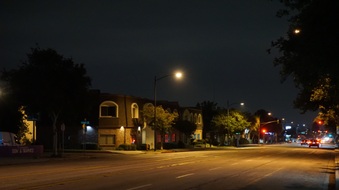 Enlarge photo 71