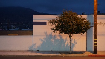 Enlarge photo 67