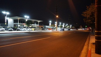 Enlarge photo 83