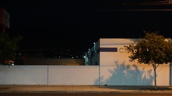 Enlarge photo 88