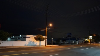 Enlarge photo 91