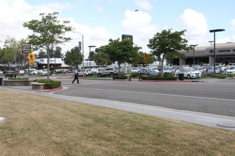 Enlarge photo 31