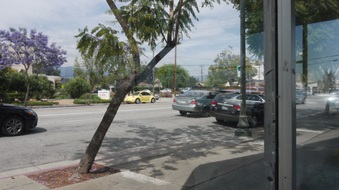Enlarge photo 42