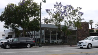 Car Dealership