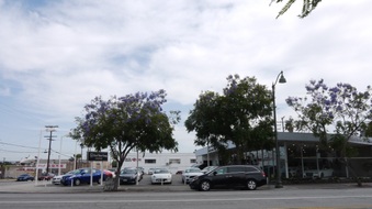 Enlarge photo 22