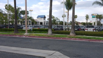 Enlarge photo 31