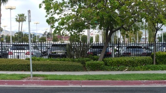 Enlarge photo 34