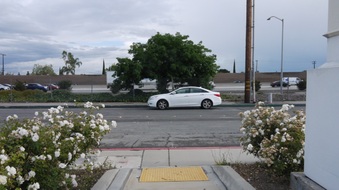 Enlarge photo 45