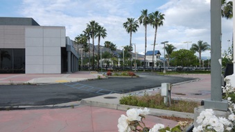 Enlarge photo 50