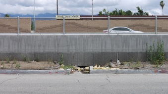 Enlarge photo 27