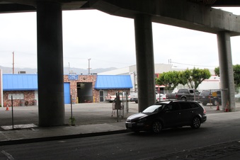 Flower & Providencia