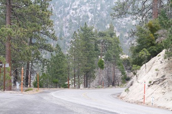 Enlarge photo 16