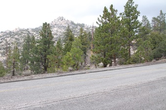 Enlarge photo 19