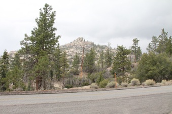 Enlarge photo 20